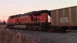 BNSF coal train